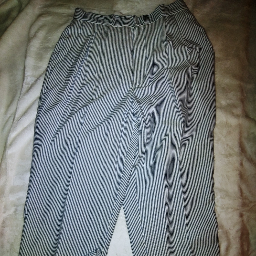 NWT Dana Buchman Pin Stripe Washed Silk Trousers 8